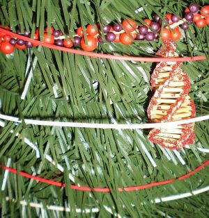 v�no�n� stromek, v�noce 